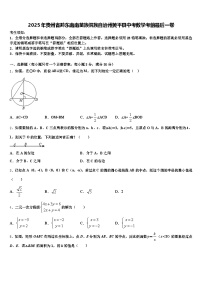 2025年贵州省黔东南南苗族侗族自治州黄平县中考数学考前最后一卷含解析