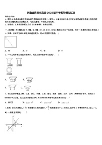 河南省洛阳市嵩县2025届中考数学模拟试题含解析