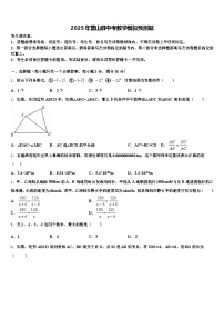 2025年营山县中考数学模拟预测题含解析
