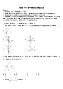 靖西县2025年中考数学全真模拟试题含解析