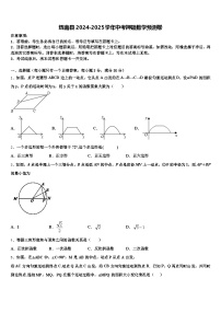 辉南县2024-2025学年中考押题数学预测卷含解析