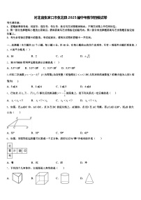 河北省张家口市张北县2025届中考数学四模试卷含解析