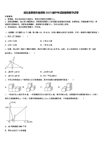 湖北省襄阳市南漳县2025届中考试题猜想数学试卷含解析