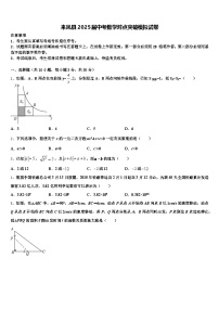 来凤县2025届中考数学对点突破模拟试卷含解析