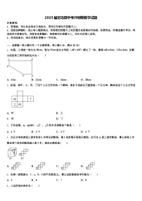 2025届尼玛县中考冲刺卷数学试题含解析