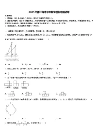 2025年都江堰市中考数学模拟精编试卷含解析