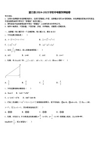 望江县2024-2025学年中考数学押题卷含解析