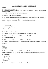 2025年湖北省黄冈市黄州区中考数学押题试卷含解析