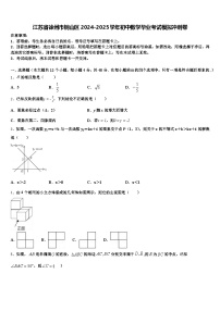 江苏省徐州市铜山区2024-2025学年初中数学毕业考试模拟冲刺卷含解析