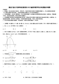 黑龙江省大兴安岭地区漠河县2025届初中数学毕业考试模拟冲刺卷含解析
