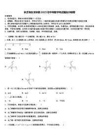 林芝地区米林县2025年中考数学考试模拟冲刺卷含解析