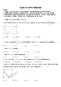 光山县2025年中考二模数学试题含解析