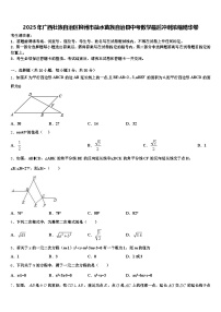 2025年广西壮族自治区柳州市融水苗族自治县中考数学最后冲刺浓缩精华卷含解析
