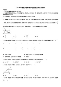 2025年通化县初中数学毕业考试模拟冲刺卷含解析