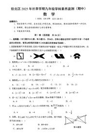 广西钦州市钦北区2025--2026学年上学期九年级期中数学试卷