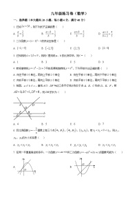安徽省合肥市第四十五中学森林城分校九年级上学期期中数学练习卷 （原卷版）-A4