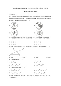 福建省福州市鼓楼区2025-2026学年八年级上学期期中考试数学试卷（学生版）