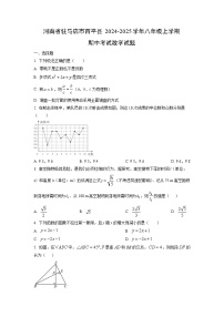河南省驻马店市西平县2024-2025学年八年级上学期期中考试数学试卷（学生版）