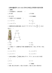 安徽省宣城市2025-2026学年九年级上学期期中数学试卷（学生版）