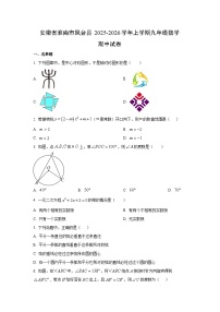 安徽省淮南市凤台县2025-2026学年九年级上学期期中数学试卷（学生版）