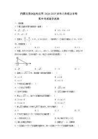 内蒙古自治区包头市2024-2025学年八年级上学期期中考试数学试卷（学生版）