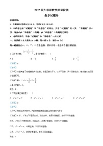 2025年安徽省阜阳市颍上县中考一模数学试题（解析版）-A4