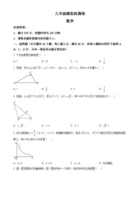 2025年安徽省合肥市长丰县中考一模数学试卷（原卷版）-A4