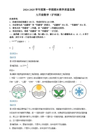 安徽省蚌埠市蚌山区九年级上学期1月期末数学试题（解析版）-A4