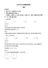 2025年安徽省滁州市全椒县九年级中考一模数学试卷 （解析版）-A4