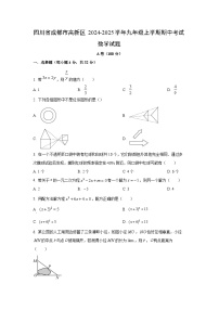四川省成都市高新区2024-2025学年九年级上学期期中考试数学试卷（学生版）