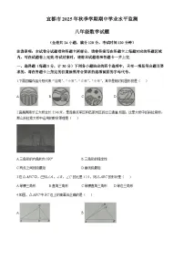 湖北省宜昌市宜都市2025-2026学年八年级上学期11月期中数学试题(无答案)