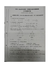 广西壮族自治区北海市合浦县2026届九年级上学期11月期中考试数学试卷（图片版）