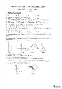 四川省成都市武侯区西川实验学校2025-2026学年八年级上学期11月期中数学试题