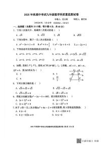 福建省泉州市晋江市磁灶片区2025-2026学年九年级上学期11月期中数学试题