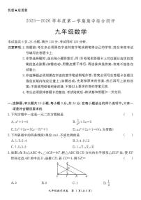 广东省河源市紫金县2025-2026学年九年级上学期11月期中数学试题