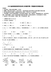 2026届安徽省亳州市利辛县七年级数学第一学期期末统考模拟试题含解析