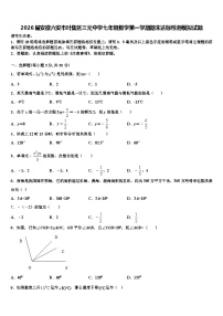 2026届安徽六安市叶集区三元中学七年级数学第一学期期末达标检测模拟试题含解析