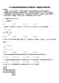 2026届安徽省阜阳市临泉县七年级数学第一学期期末统考模拟试题含解析