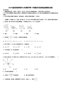 2026届安徽省阜阳市七年级数学第一学期期末质量跟踪监视模拟试题含解析
