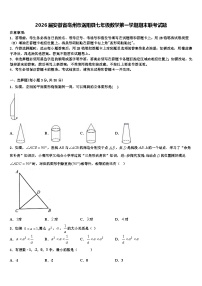 2026届安徽省毫州市涡阳县七年级数学第一学期期末联考试题含解析