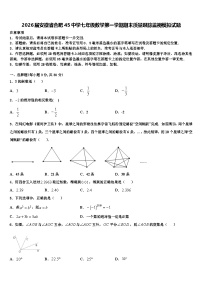 2026届安徽省合肥45中学七年级数学第一学期期末质量跟踪监视模拟试题含解析