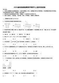 2026届安徽省巢湖第四中学数学七上期末检测试题含解析