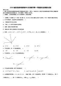 2026届安徽省枞阳县联考七年级数学第一学期期末监测模拟试题含解析