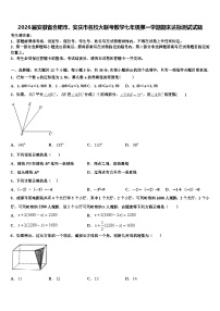 2026届安徽省合肥市、安庆市名校大联考数学七年级第一学期期末达标测试试题含解析