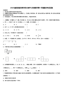 2026届安徽省合肥市科大附中七年级数学第一学期期末考试试题含解析