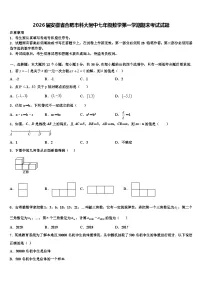 2026届安徽省合肥市科大附中七年级数学第一学期期末考试试题含解析