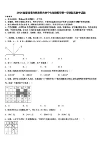 2026届安徽省合肥市科大附中七年级数学第一学期期末联考试题含解析