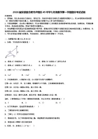 2026届安徽省合肥市庐阳区45中学七年级数学第一学期期末考试试题含解析