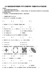 2026届安徽省合肥市巢湖第三中学七年级数学第一学期期末学业水平测试试题含解析