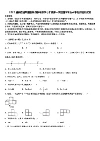 2026届安徽省阜阳临泉县联考数学七年级第一学期期末学业水平测试模拟试题含解析
